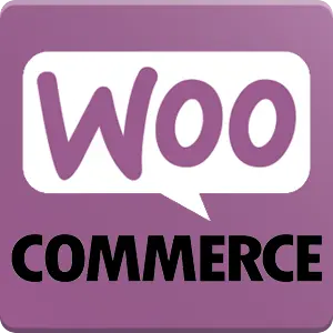Odoo Woocommerce Connector